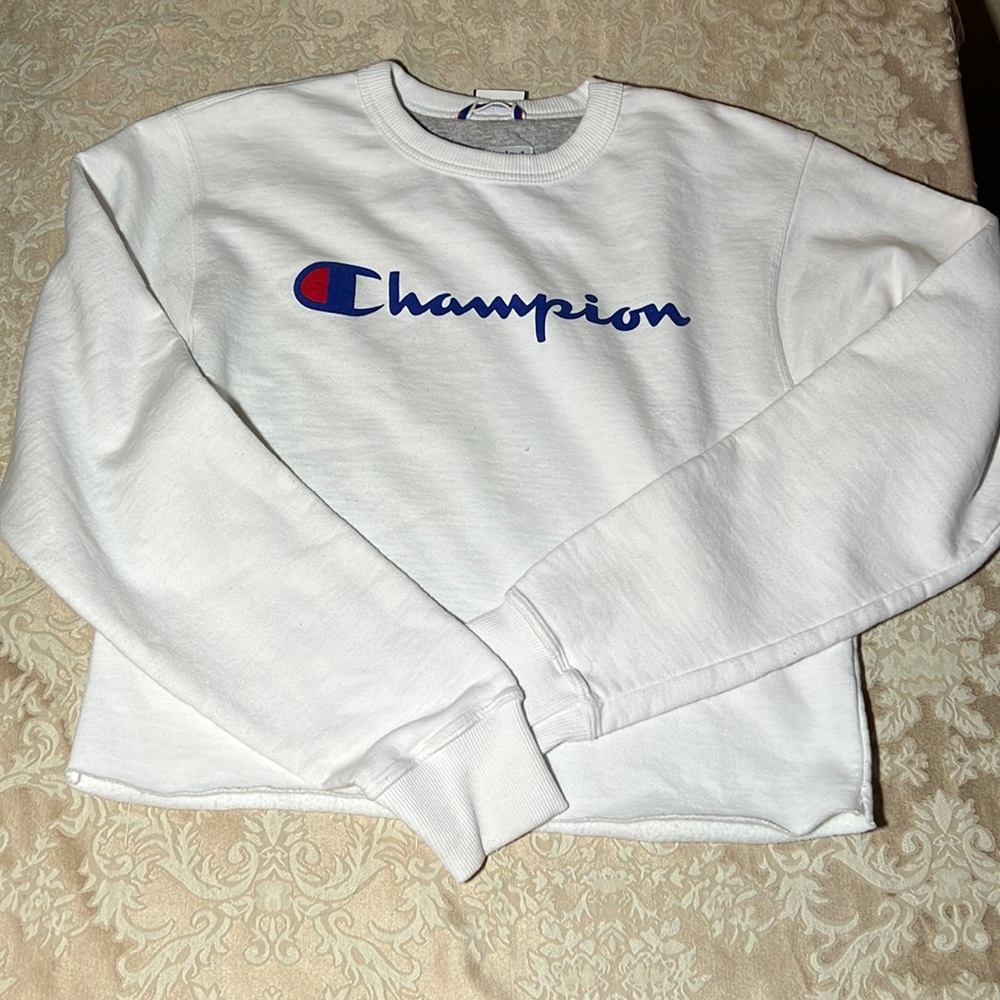 Champion long sleeve sweatshirt crop